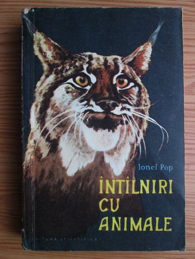 Site ul de intalnire a animalelor