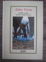 Jules Verne - Indiile negre. Goana dupa meteor (Nr.19)