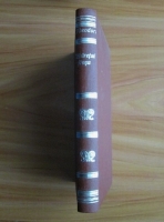 Radu Theodoru - Calaretul rosu