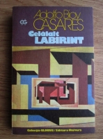 Adolfo Bioy Casares - Celalalt labirint