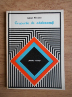 Adrian Neculau - Grupurile de adolescenti 