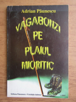 Adrian Paunescu - Vagabonzi pe plaiul mioritic