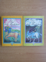 Alexandre Dumas - Die drei Musketiere (2 volume)