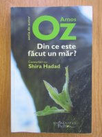 Amos Oz - Din ce este facut un mar?