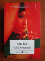 Amy Tan - Valea minunilor
