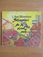 Ana Blandiana - Intamplari de pe strada mea