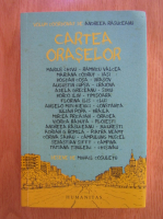 Andreea Rasuceanu - Cartea oraselor