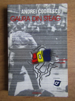 Andrei Codrescu - Gaura din steag
