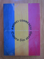Andrei Codrescu -  Gaura din Steag