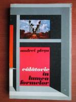 Andrei Plesu - Calatorie in lumea formelor