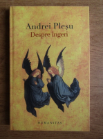 Andrei Plesu - Despre ingeri