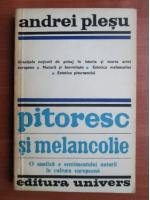 Andrei Plesu - Pitoresc si melancolie