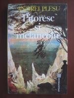 Andrei Plesu - Pitoresc si melancolie