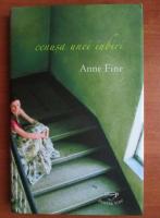 Anne Fine - Cenusa unei iubiri