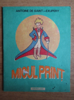 Antoine de Saint Exupery - Micul print