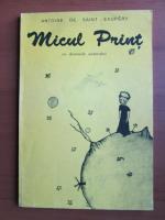 Antoine de Saint Exupery - Micul print 