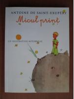 Antoine de Saint Exupery - Micul print