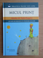 Antoine de Saint-Exupery - Micul Print