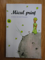 Antoine de Saint-Exupery - Micul print