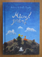 Antoine de Saint-Exupery - Micul print