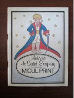 Antoine de Saint Exupery - Micul print