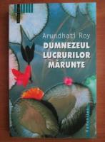 Arundhati Roy - Dumnezeul lucrurilor marunte