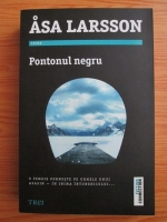 Asa Larsson - Pontonul negru