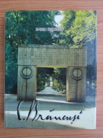 Barbu Brezianu - Brancusi in Romania