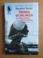 Boualem Sansal - Trenul de Erlingen