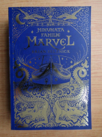 Brian Selznick - Minunata familie Marvel