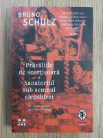 Bruno Schulz - Pravaliile de scortisoara. Sanatoriul sub semnul clepsidrei