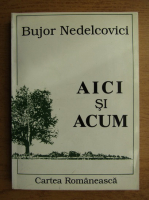 Bujor Nedelcovici - Aici si acum