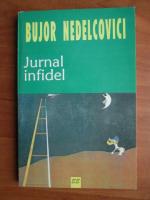 Bujor Nedelcovici - Jurnal infidel