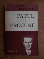 Camil Petrescu - Patul lui Procust