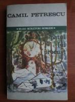 Camil Petrescu - Patul lui Procust