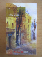 Cezar Petrescu - Calea Victoriei