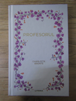 Charlotte Bronte - Profesorul