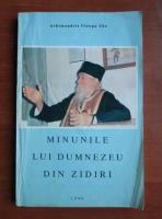 Cleopa Ilie - Minunile lui Dumnezeu din zidiri