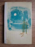 Constantin Chirita - Castelul fetei in alb