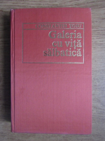 Constantin Toiu - Galeria cu vita salbatica