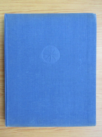 Cornel Irimie - Icoane pe sticla