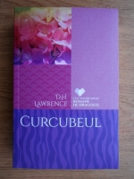 D. H. Lawrence - Curcubeul