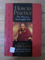 Dalai Lama - How to practice the way to a meaningful life