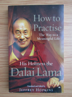 Dalai Lama - How to practise