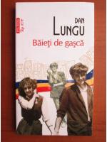 Dan Lungu - Baieti de gasca