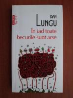 Dan Lungu - In iad toate becurile sunt arse