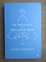 Daniel Goleman - Ce inseamna sa fii un lider bun