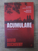 David Duchovny - Acumulare