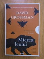 David Grossman - Mierea leului