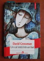 David Grossman - Un cal intra intr-un bar